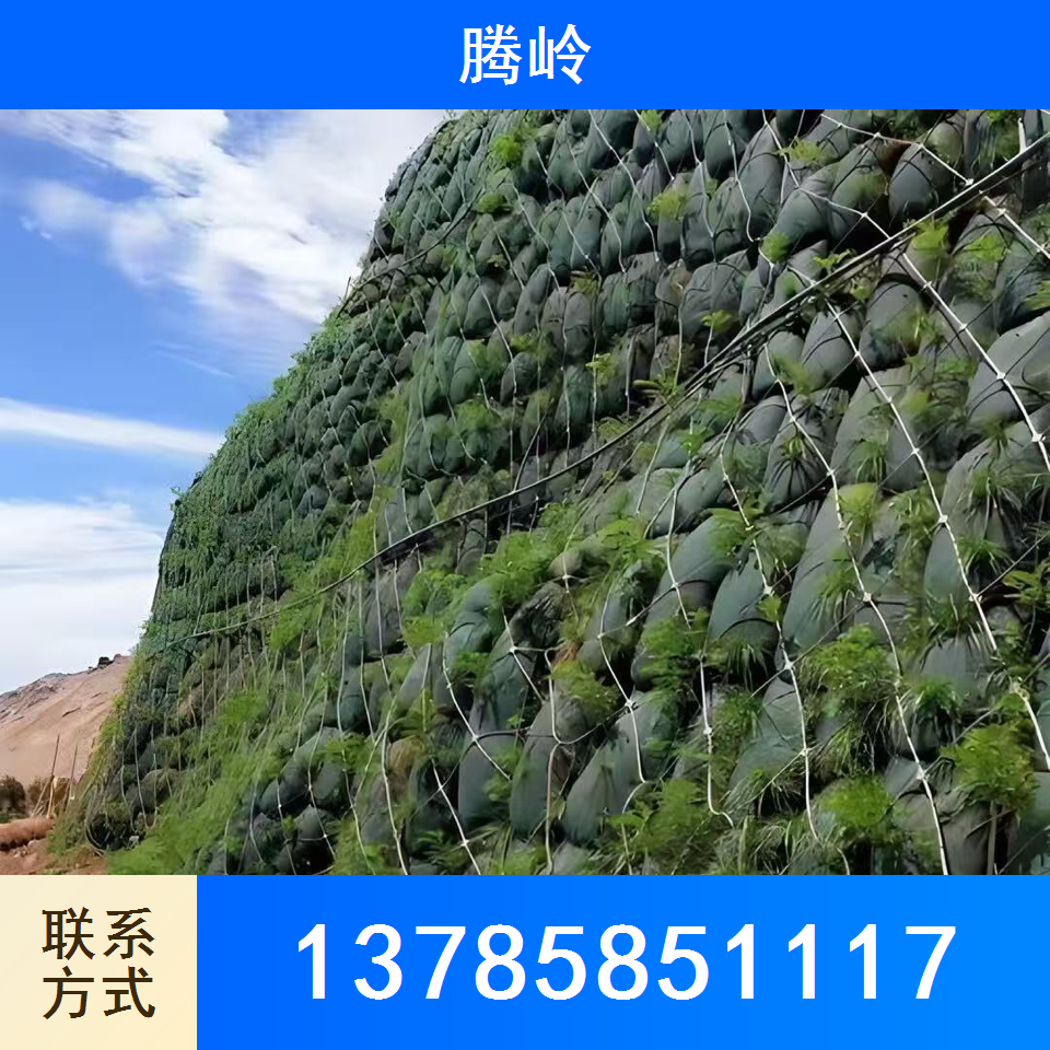 	环形防护网