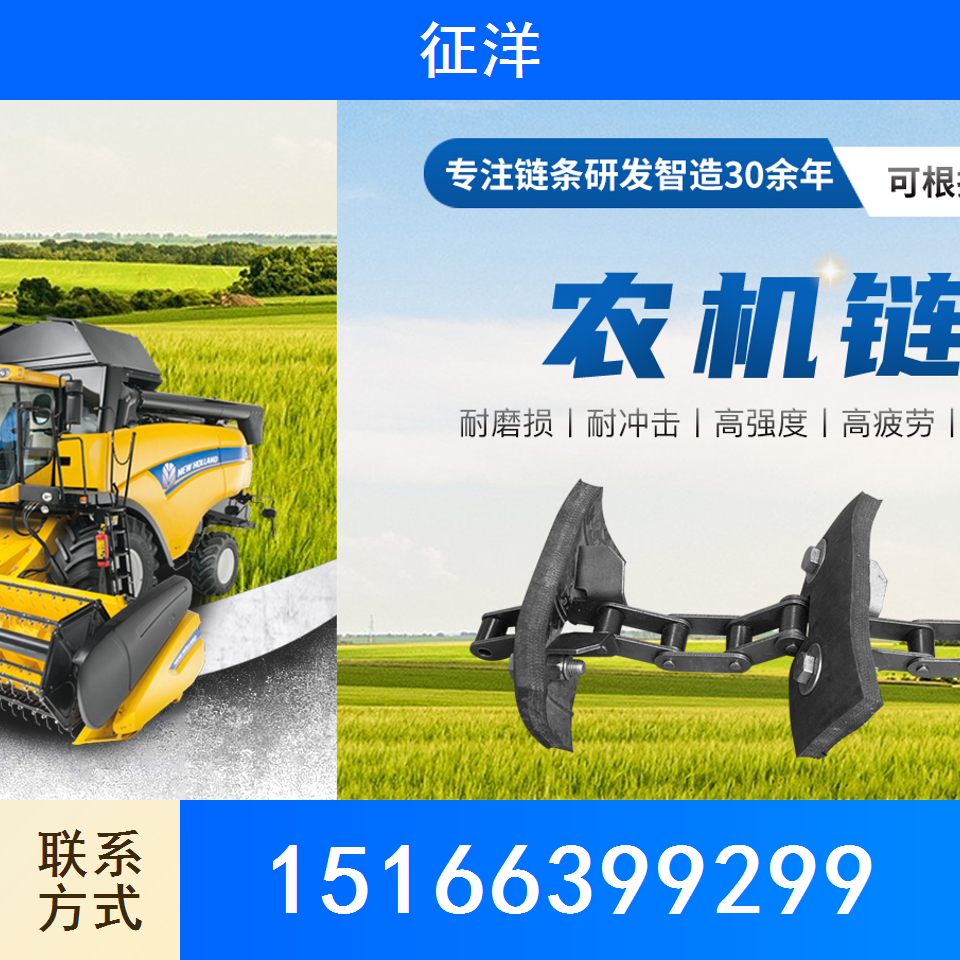 提升机链条
