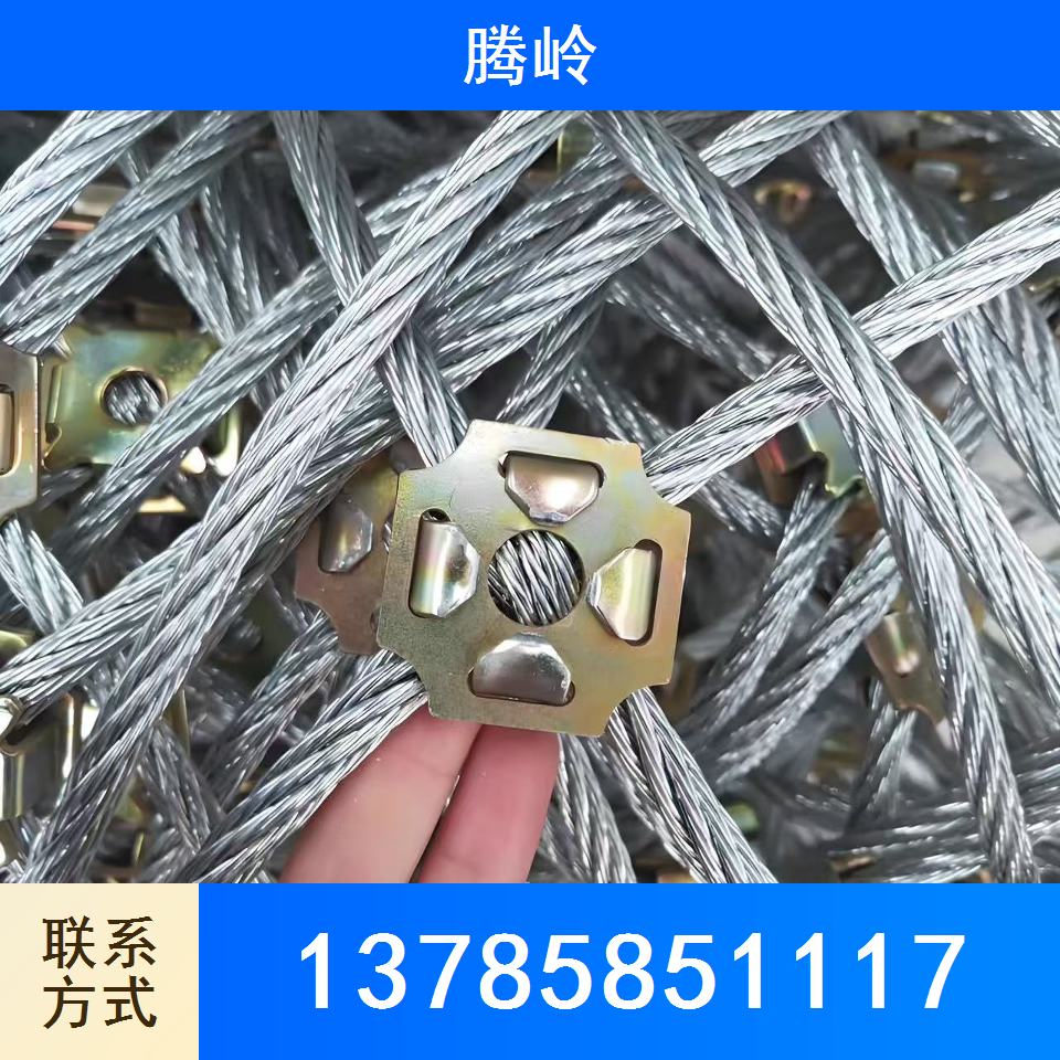	被动防护网